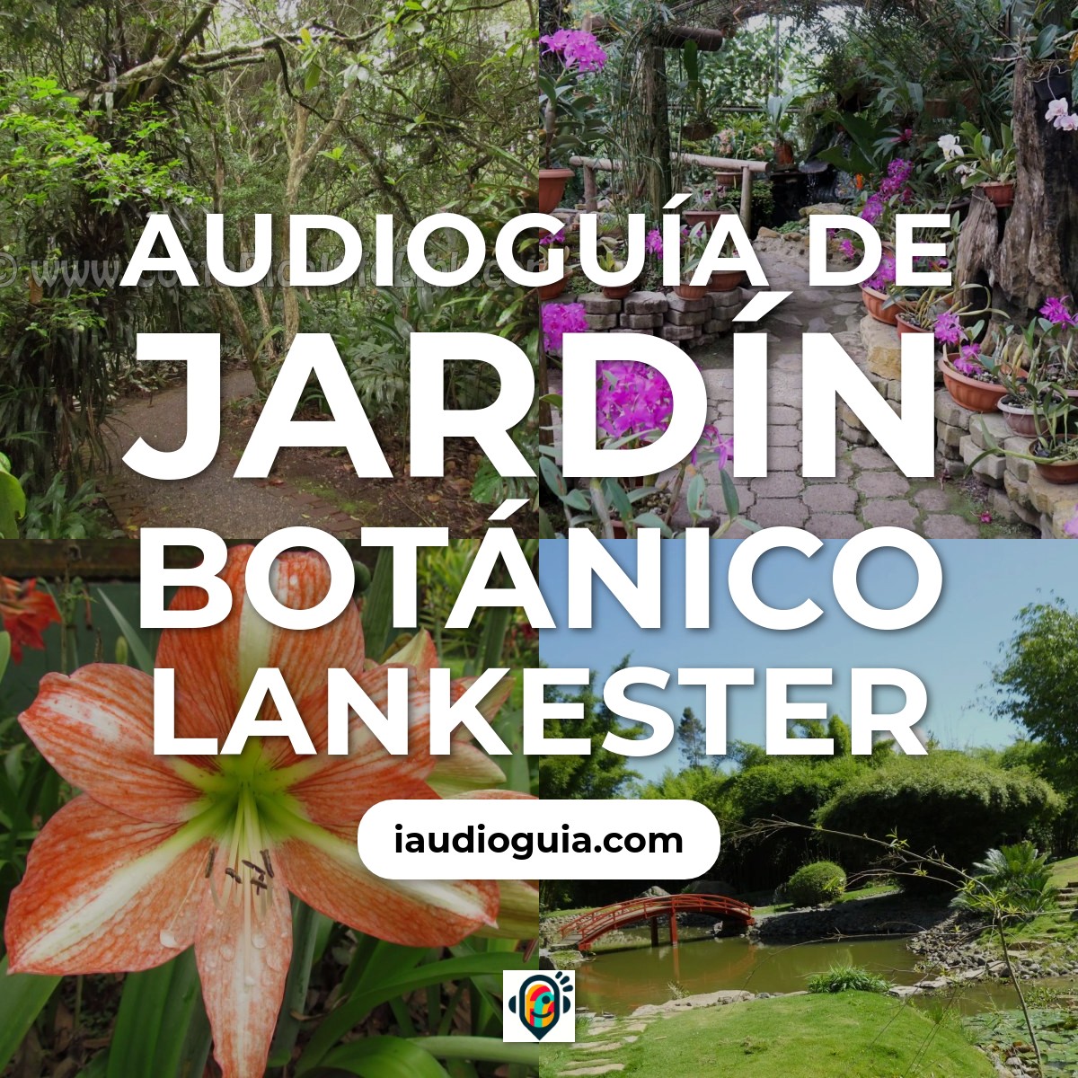 Audioguía de Jardin Botanico Lankester