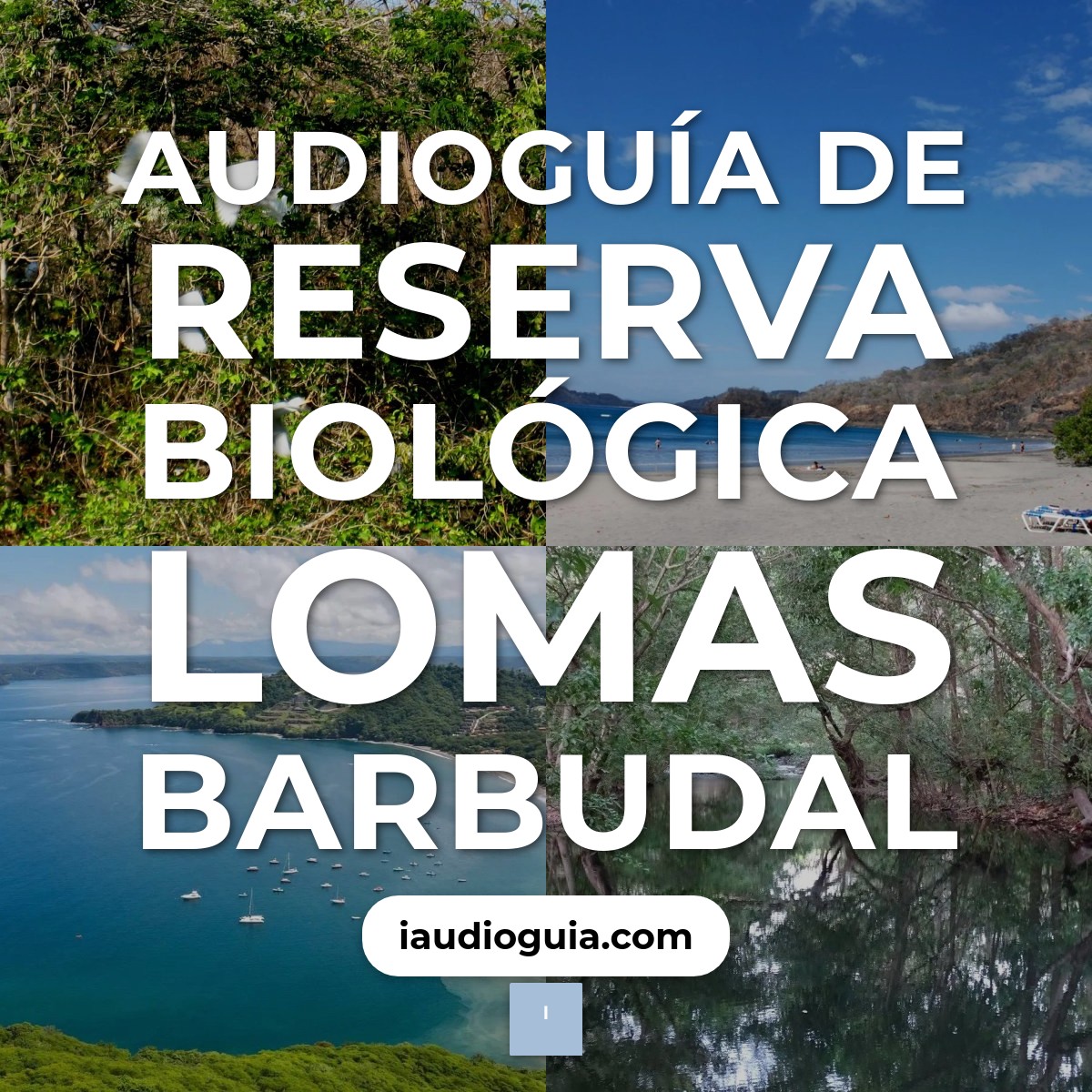 Audioguía de Reserva Biologica Lomas Barbudal