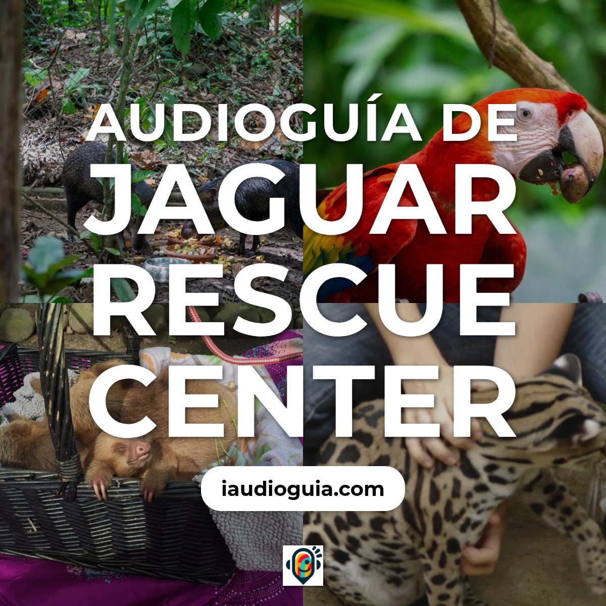 Audioguía de Puerto Viejo De Talamanca
