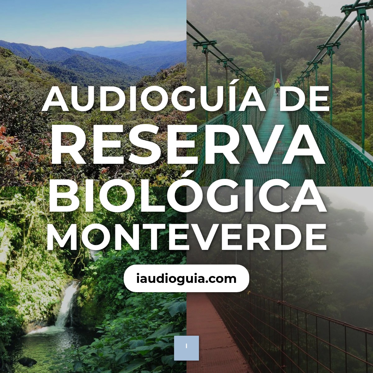 Audioguía de Reserva Biologica Monteverde