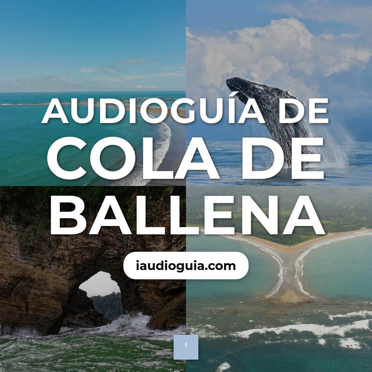 Audioguía de Cola Ballena