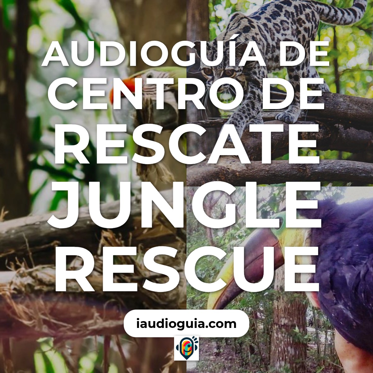Audioguía de Centro Rescate Animales Jungle Rescue