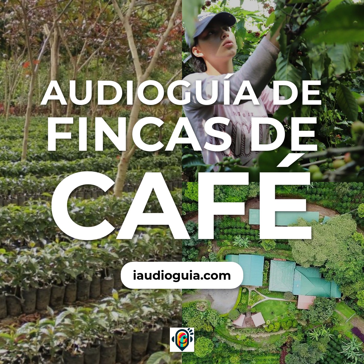 Audioguía de Fincas de Café