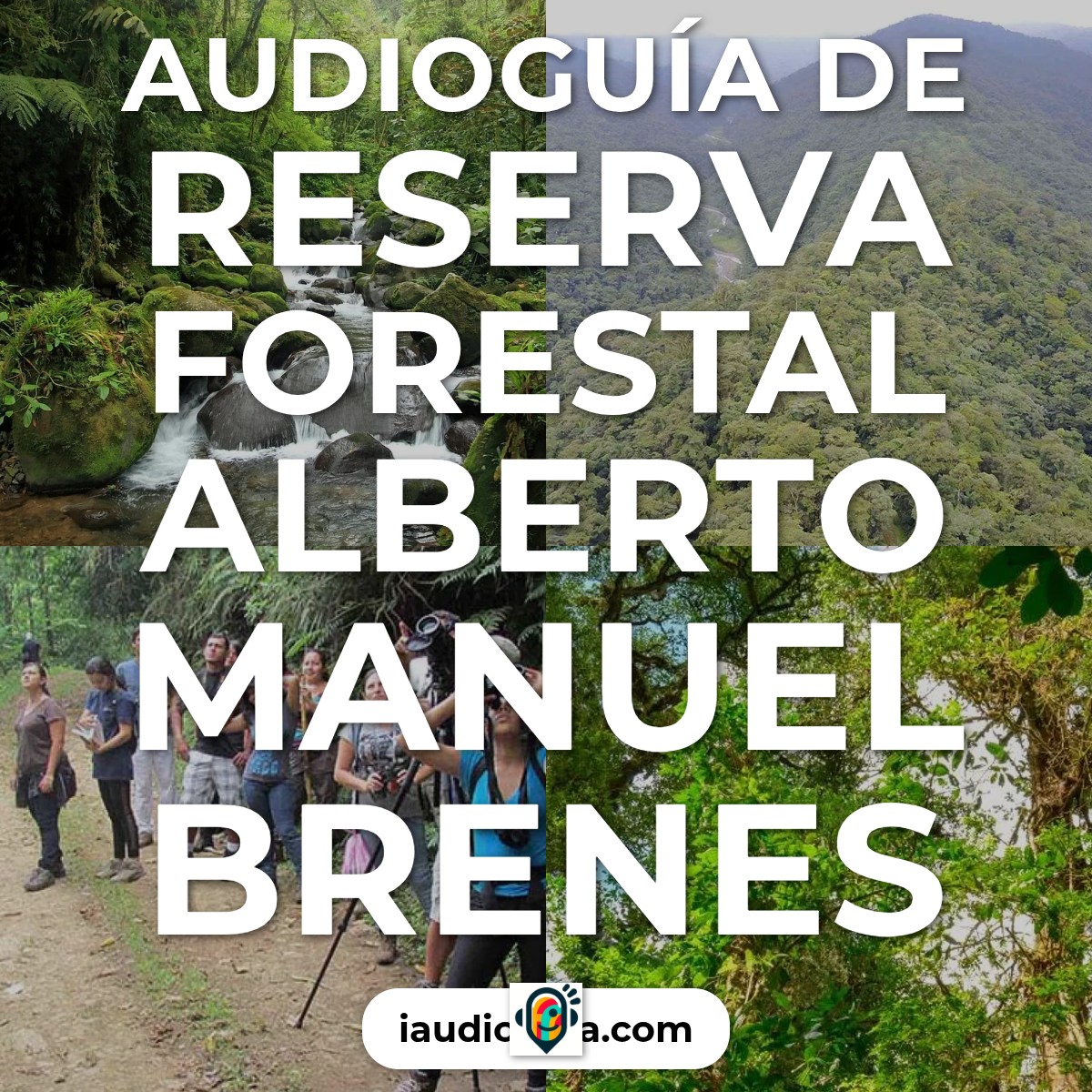 Reserva Forestal Alberto Manuel Brenes