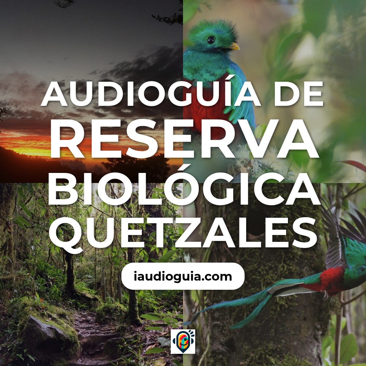 Audioguía de Reserva Biologica Quetzales