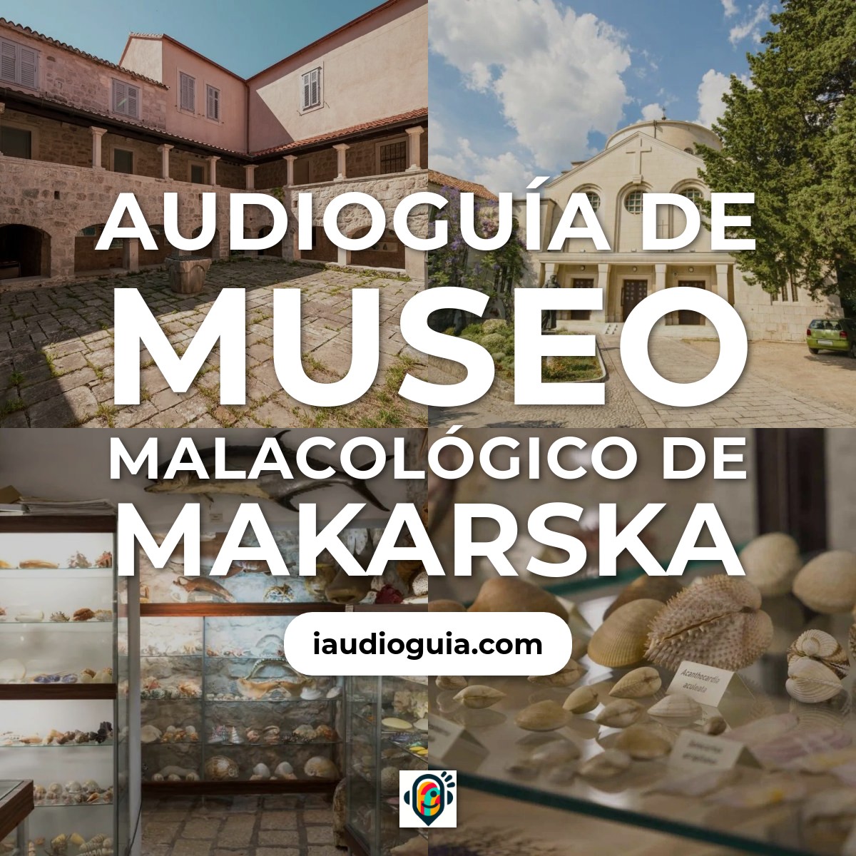Audioguía de Malacological Museum