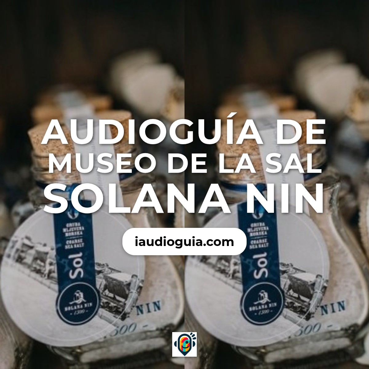 Audioguía de Nin
