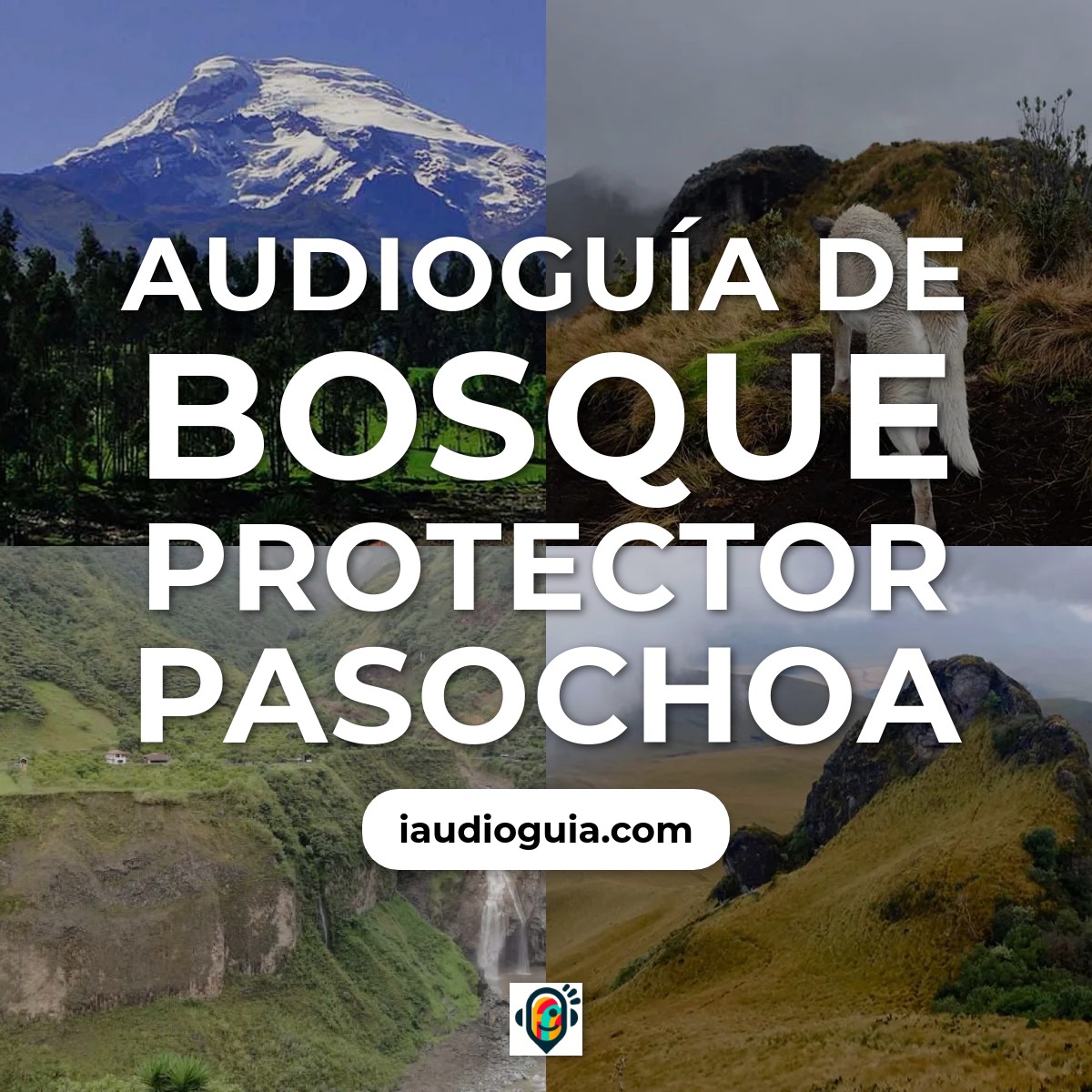 Audioguía de Bosque Protector Pasochoa