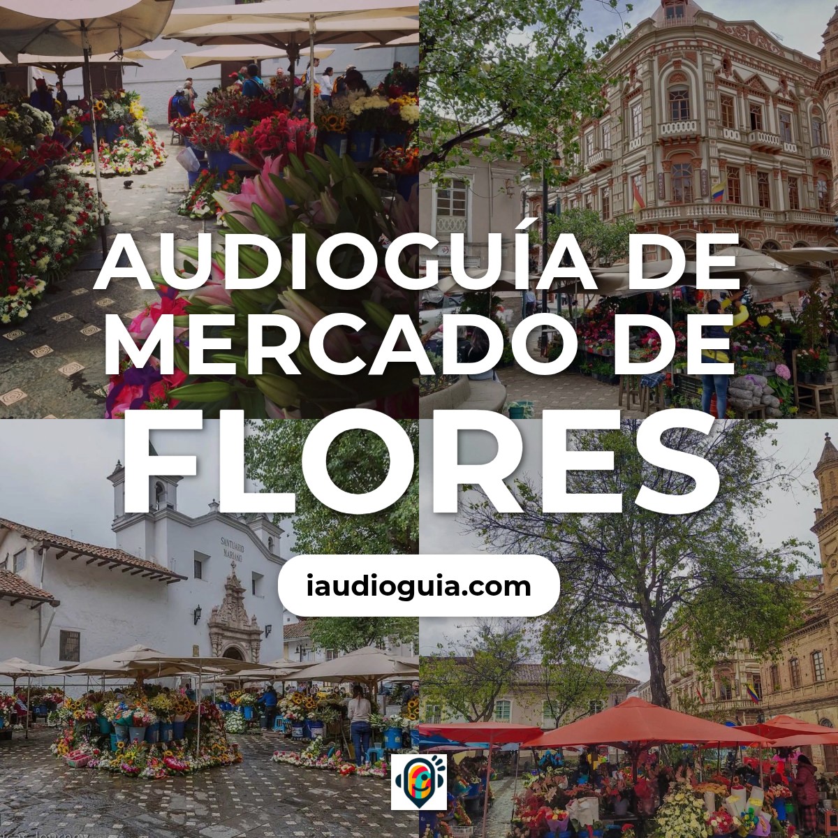 Audioguía de Mercado Flores