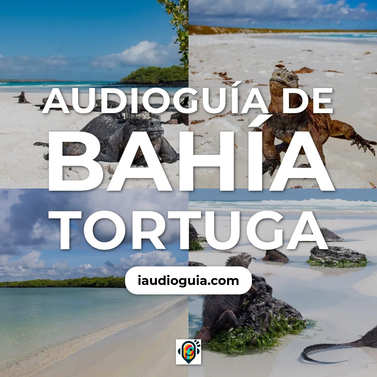 Audioguía de Bahia Tortuga