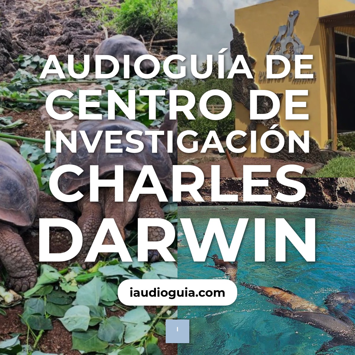 Audioguía de Centro Investigacion Charles Darwin