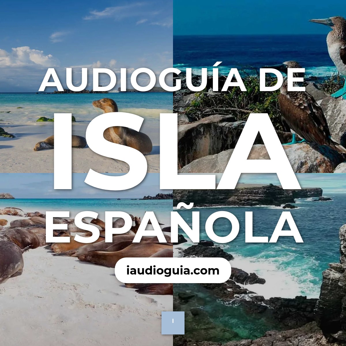 Audioguía de Isla Espanola