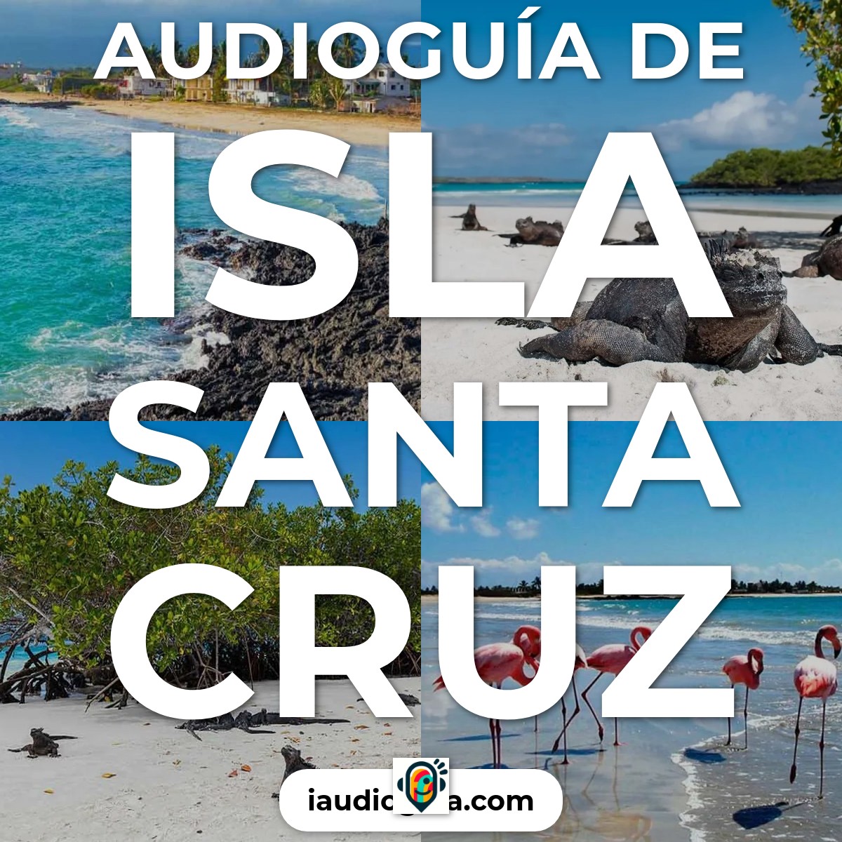 Audioguía de Isla Santa Cruz