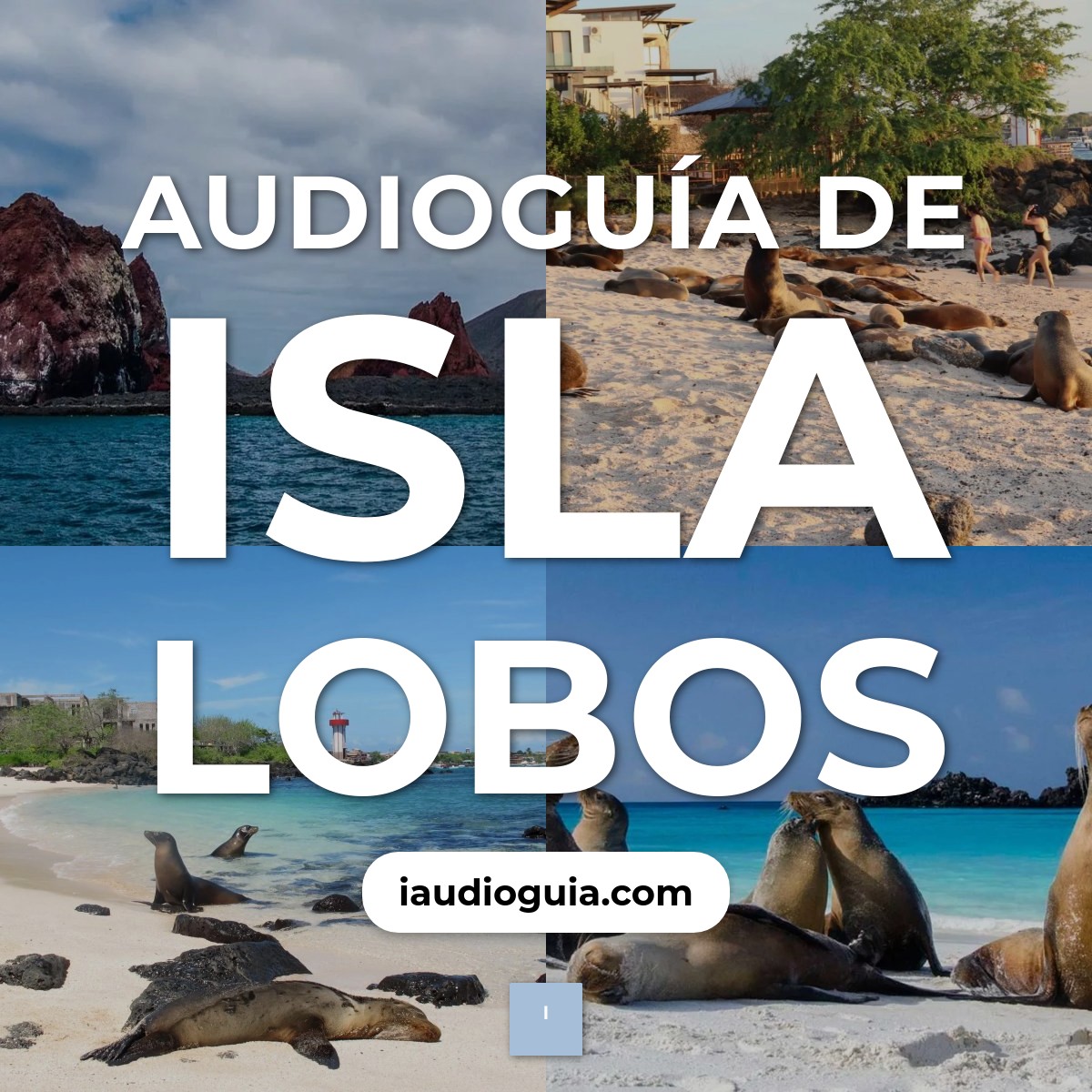 Audioguía de Isla Lobos