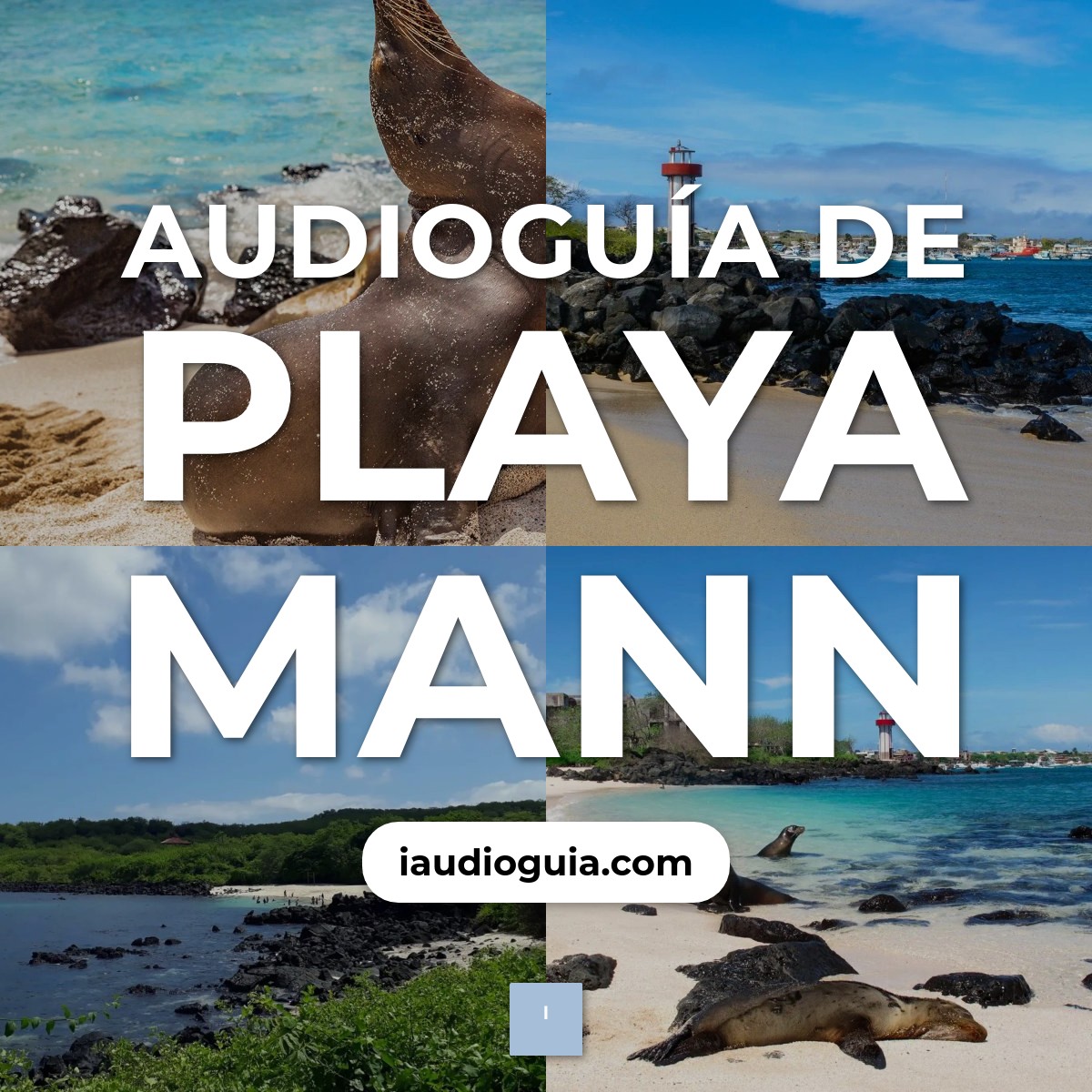 Audioguía de Playa Mann