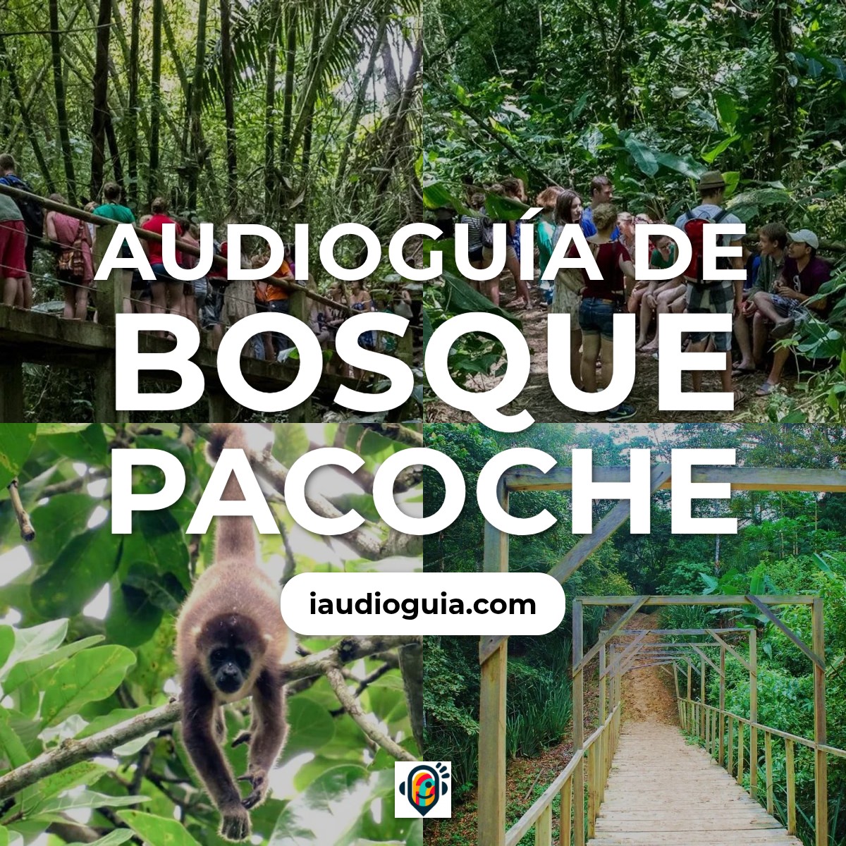 Audioguía de Bosque Pacoche