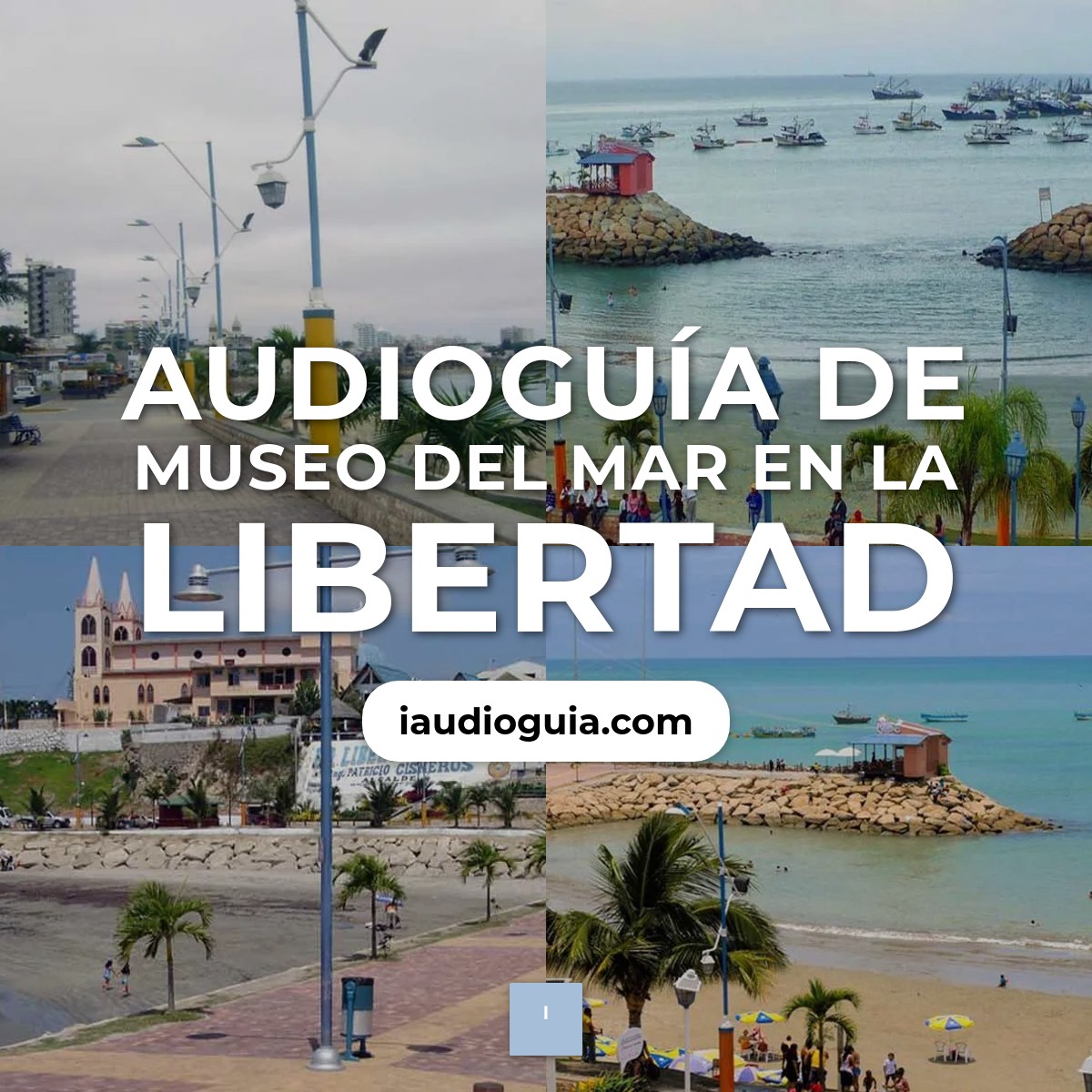 Audioguía de Museo Del Mar
