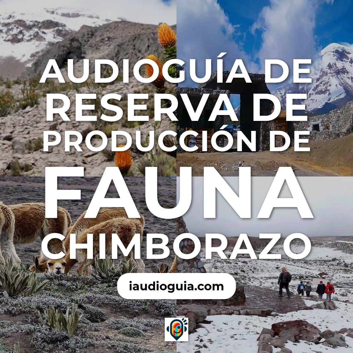 Audioguía de Reserva Produccion Fauna Chimborazo
