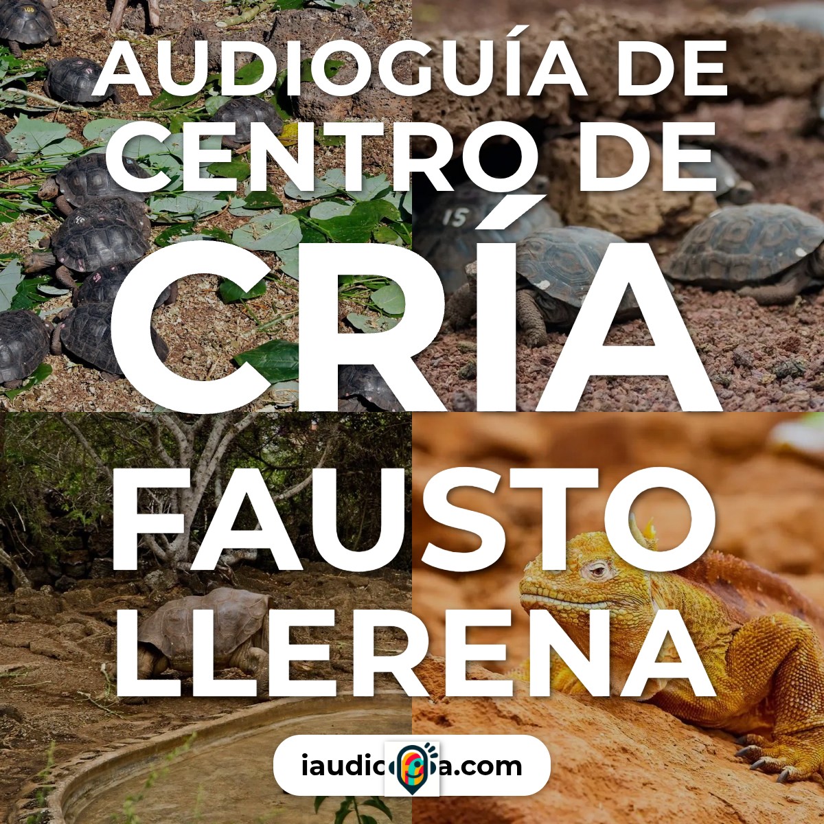 Audioguía de Centro Cria Fausto Llerena