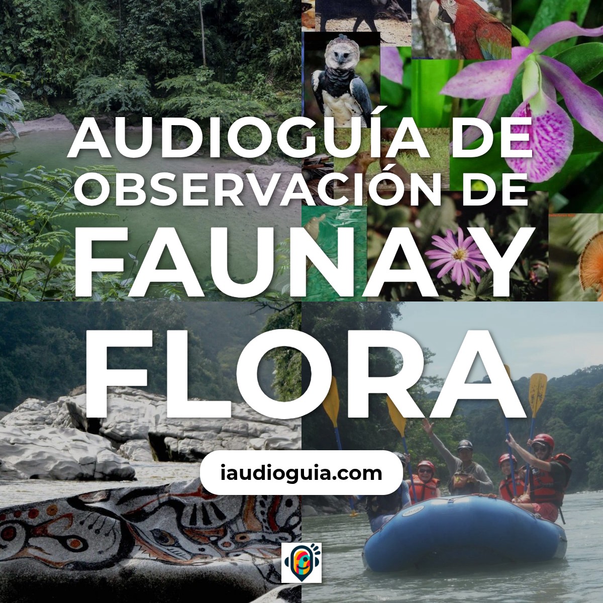 Audioguía de Observacion Fauna Flora