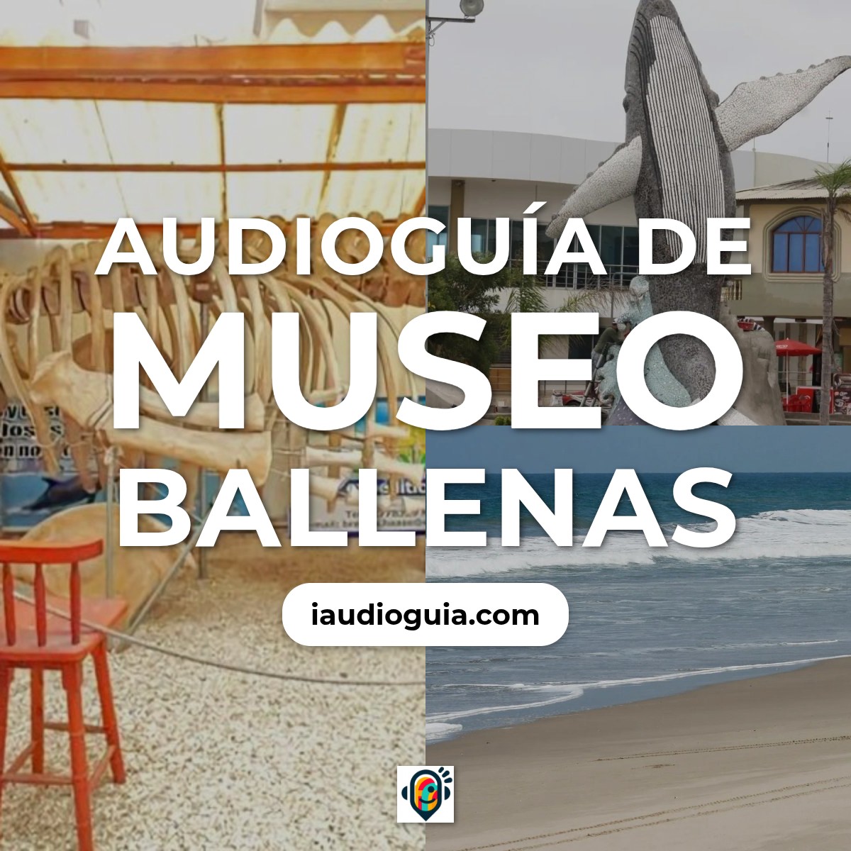 Audioguía de Museo Ballenas