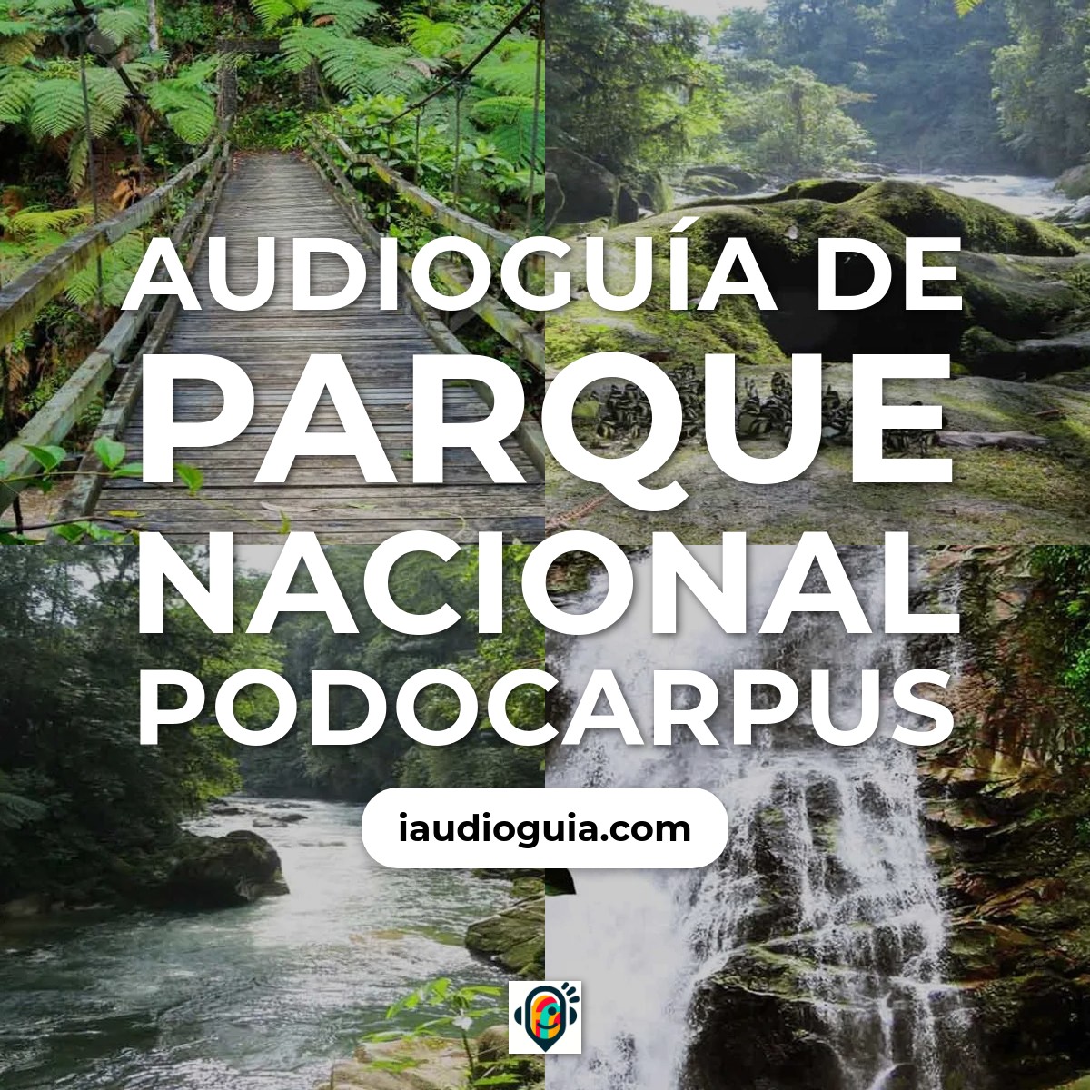 Audioguía de Parque Nacional Podocarpus