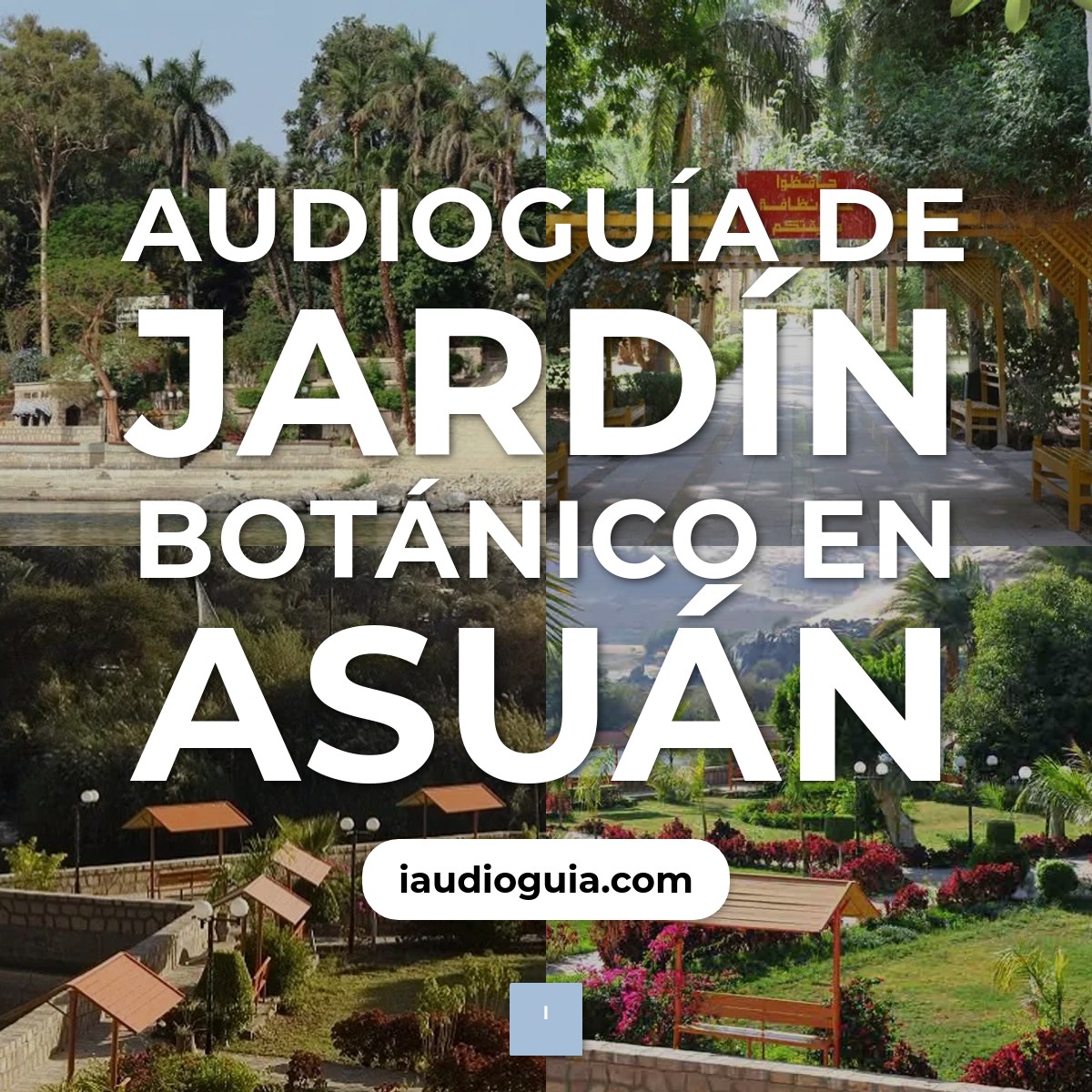 Audioguía de Jardin Botanico