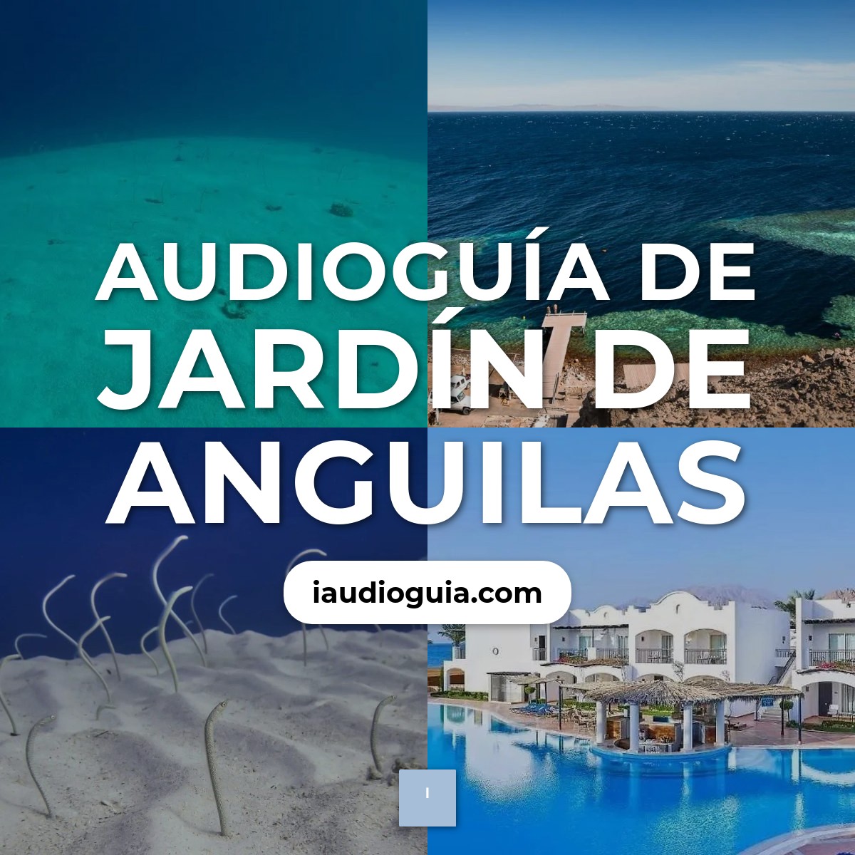 Audioguía de Eel Garden