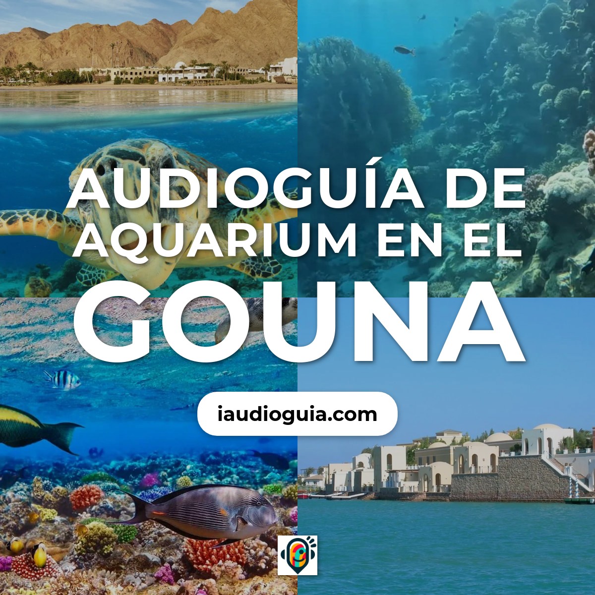 Audioguía de Aquarium