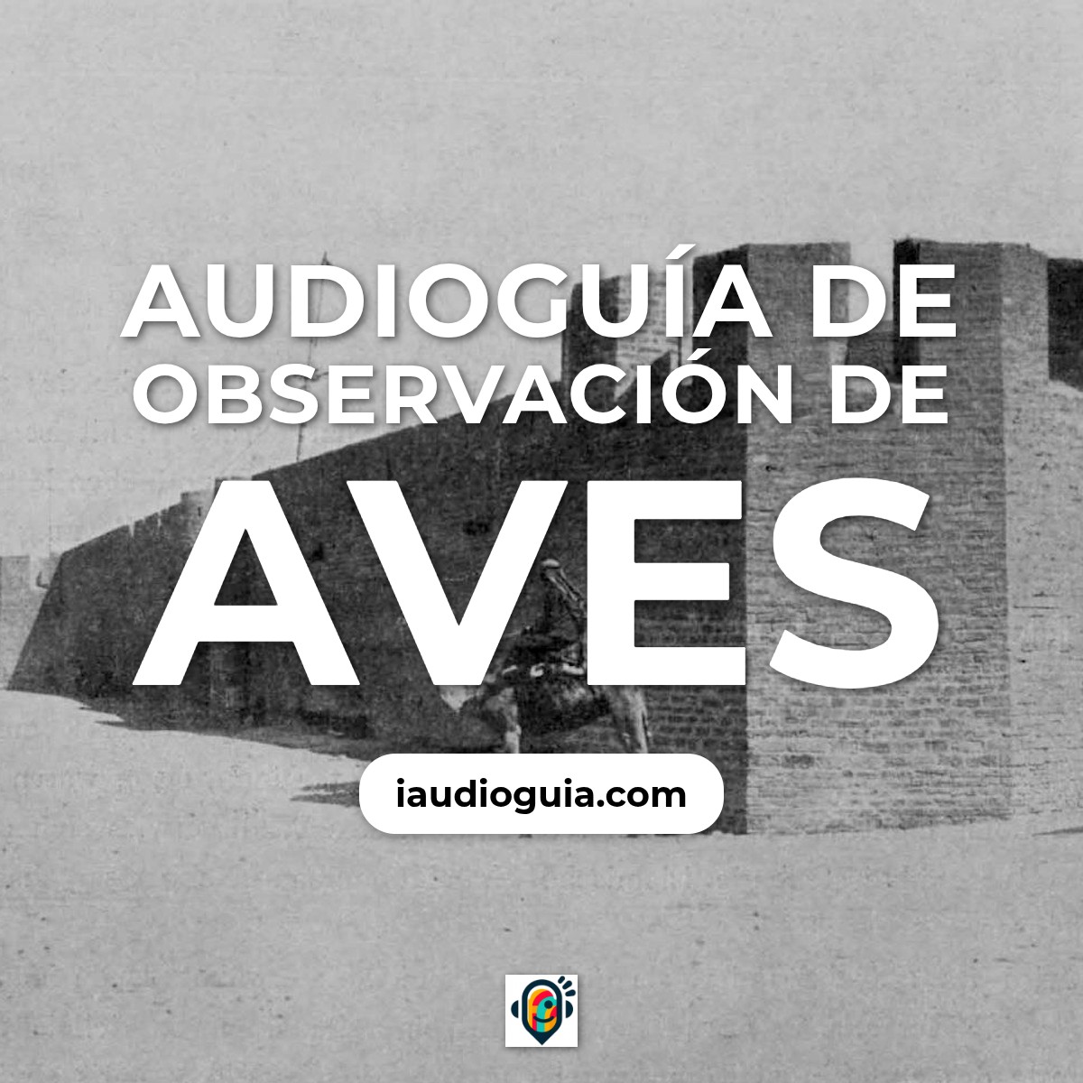 Audioguía de Lago Bardawil