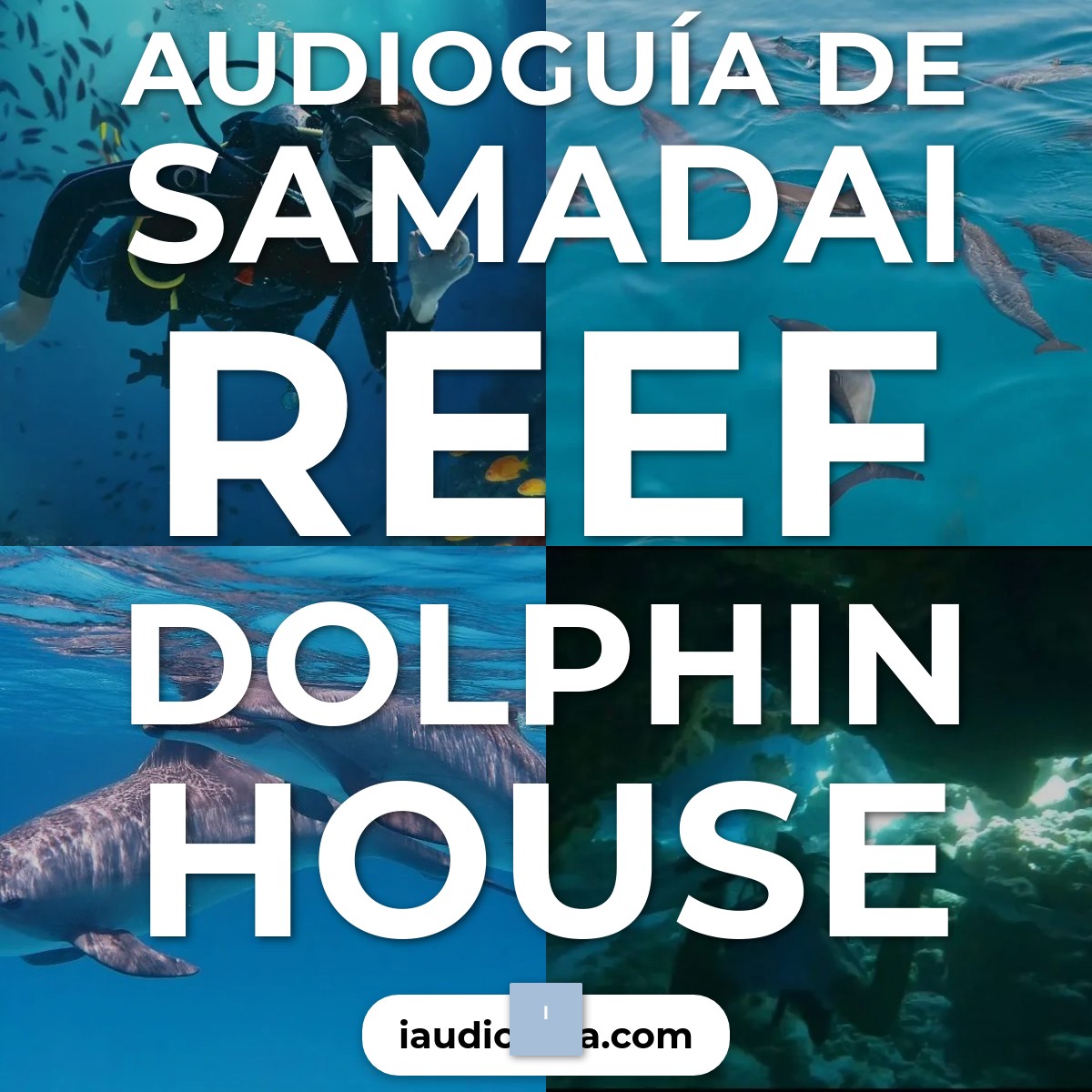 Audioguía de Samadai Reef Dolphin House