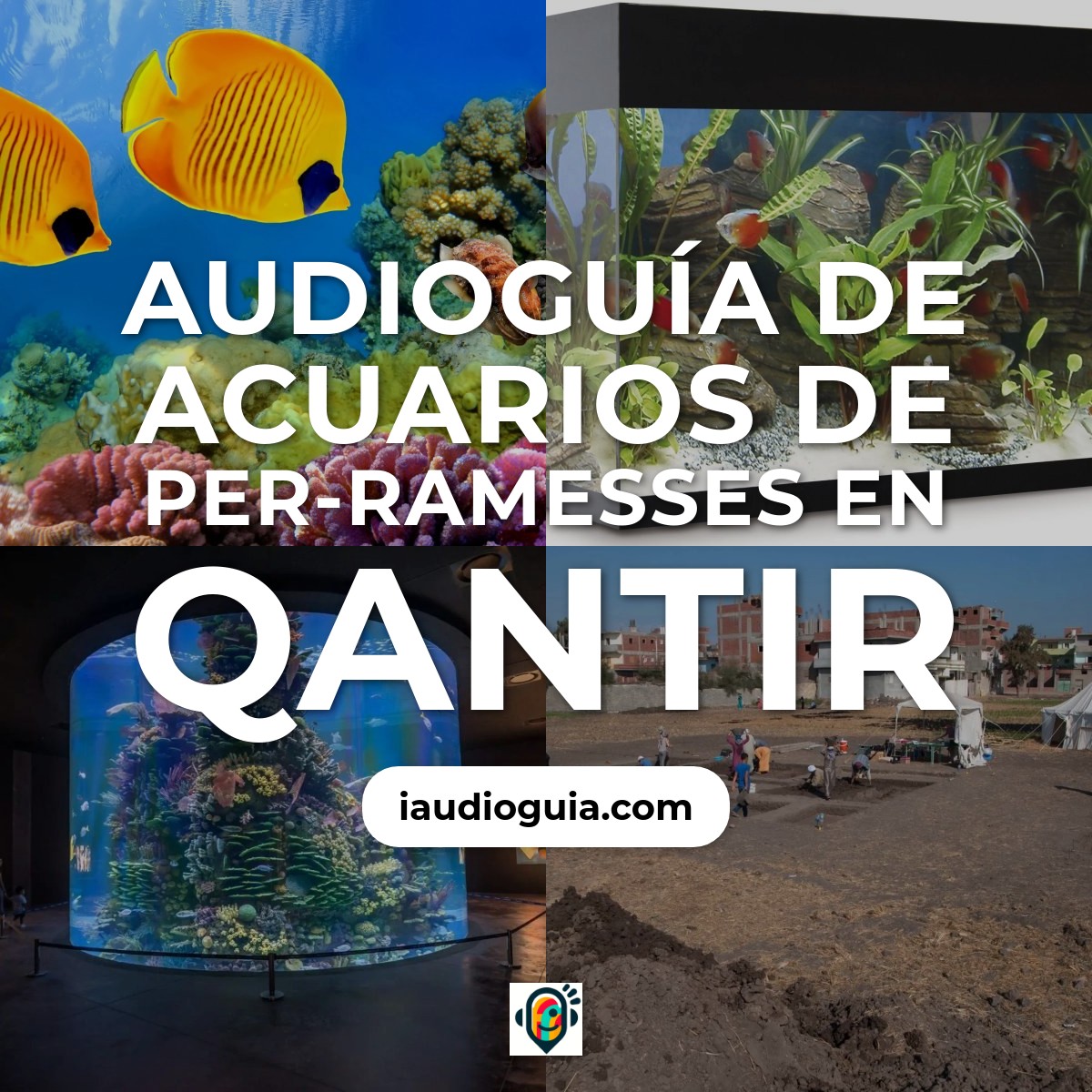 Audioguía de Acuarios Per Ra Msses