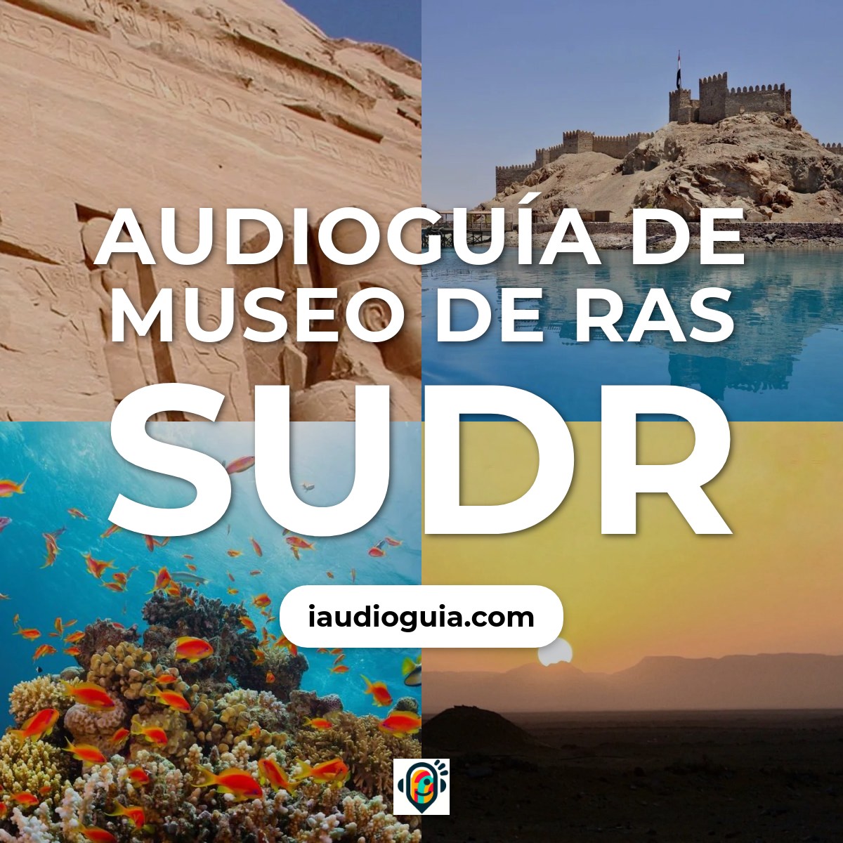 Audioguía de Museo