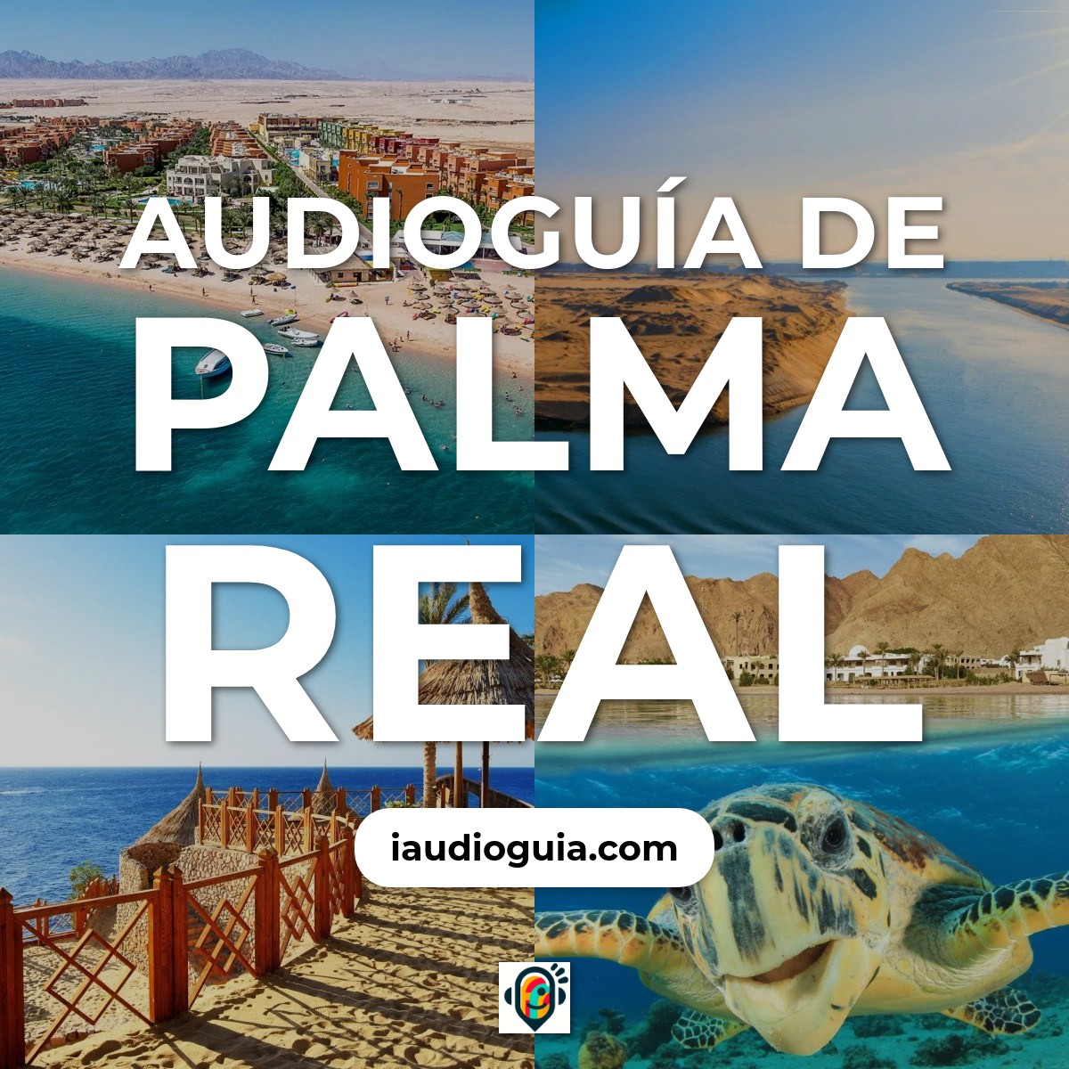 Audioguía de Palm Roy
