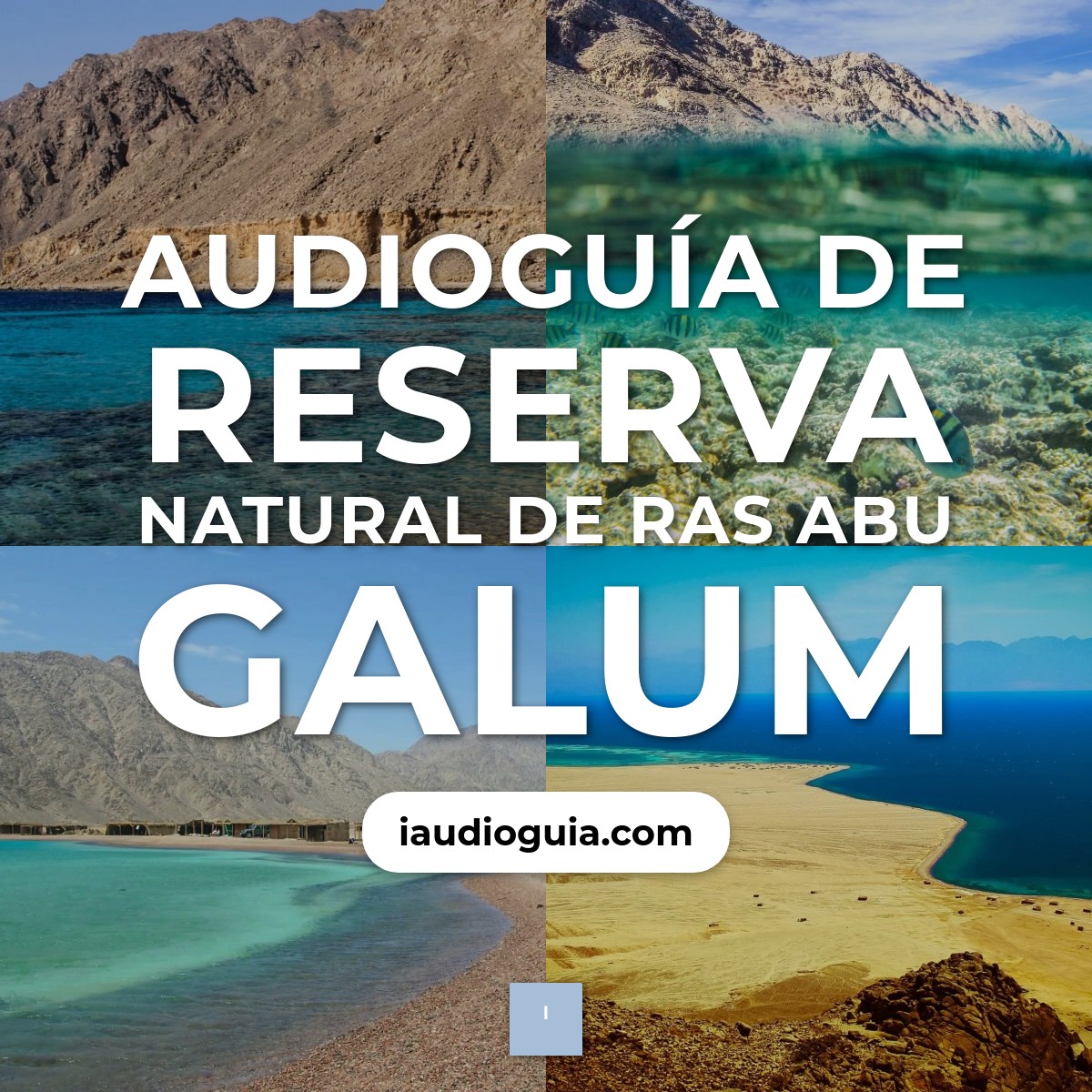Audioguía de Reserva Natural Ras Abu Galum