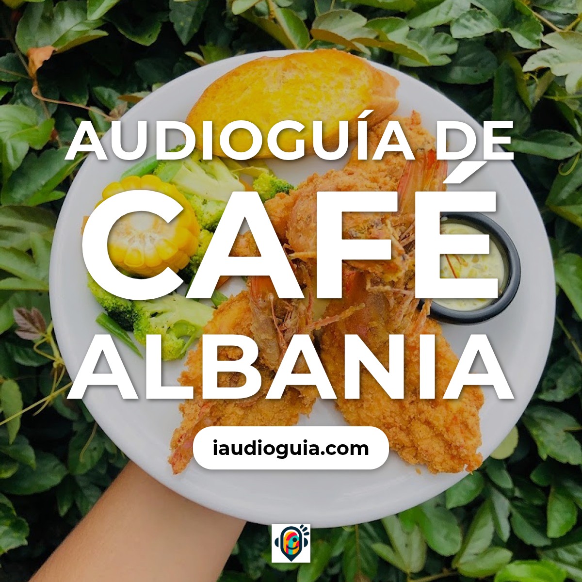 Audioguía de Apaneca
