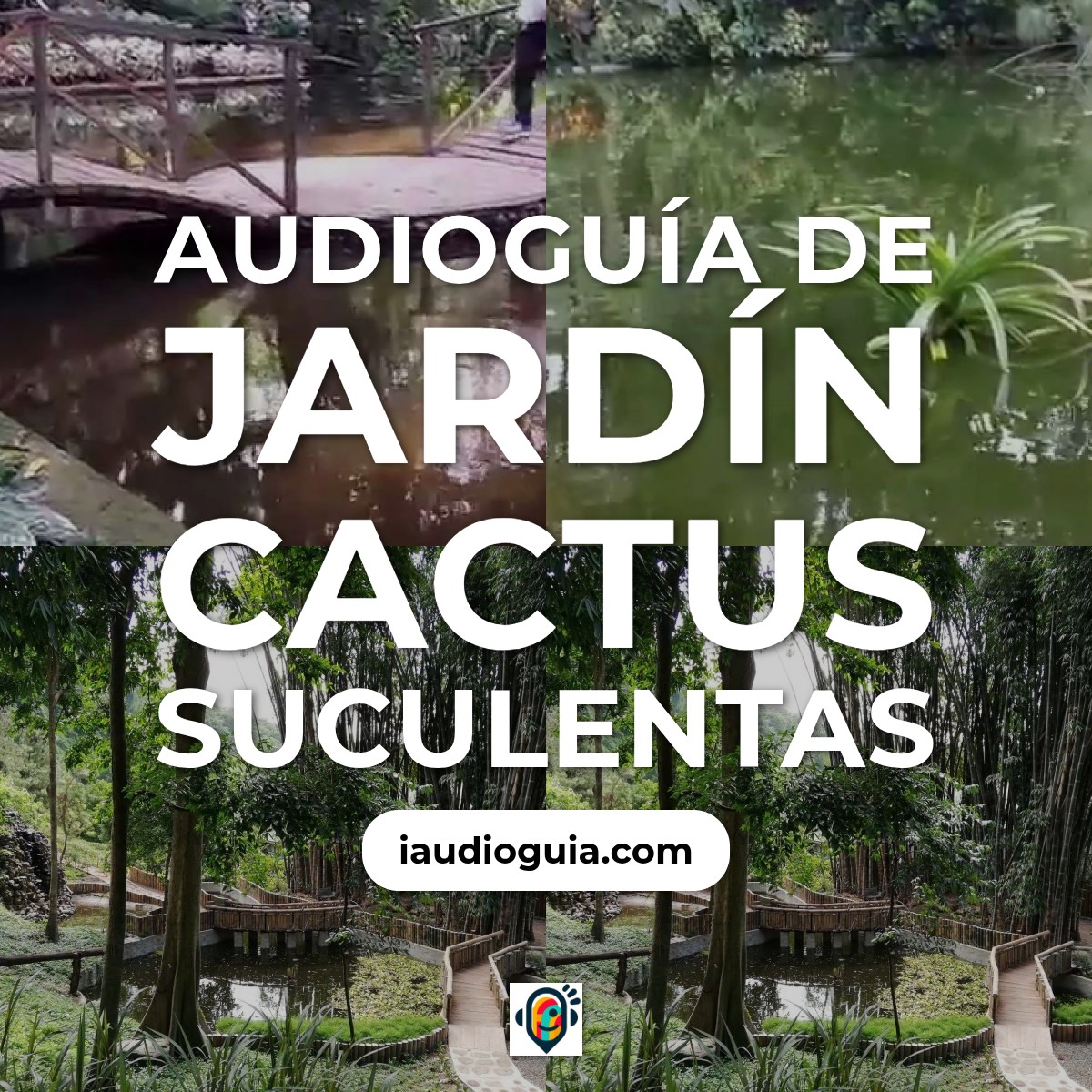 Jardín Cactus Suculentas