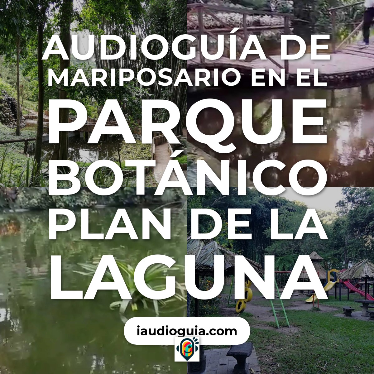 Mariposario en el Parque Botánico Plan de la Laguna