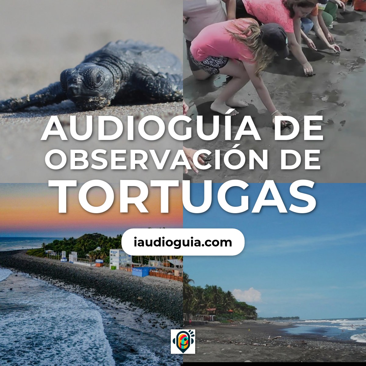 Audioguía de Observacion Tortugas