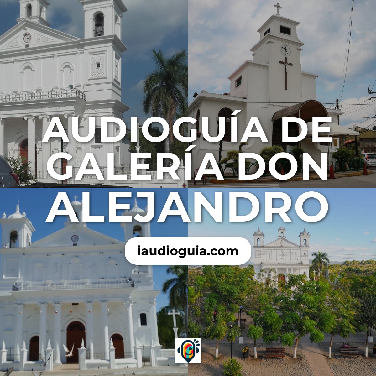 Galería Don Alejandro