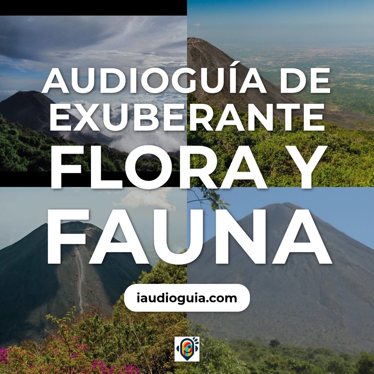 Audioguía de Exuberante Flora Fauna