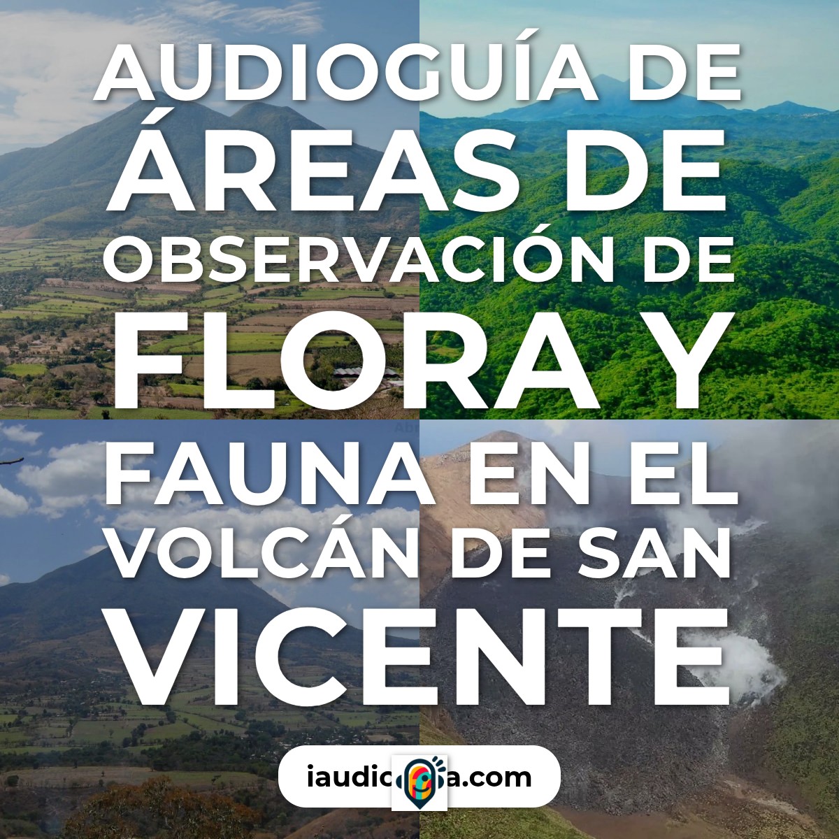 Audioguía de Areas Observacion Flora Fauna