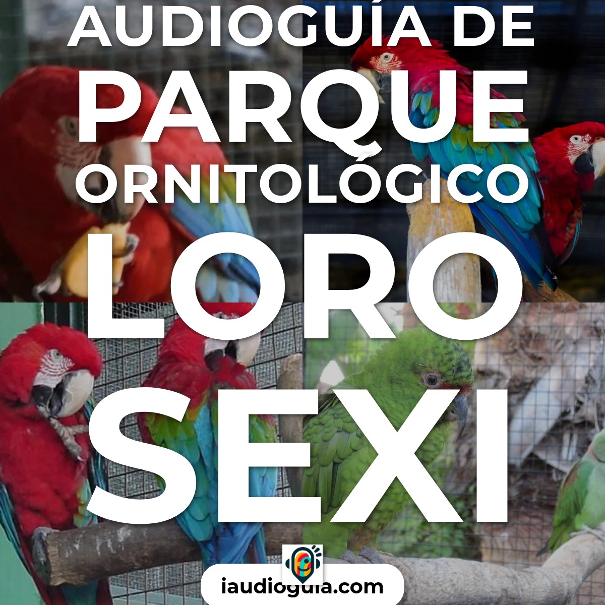 Audioguía de Parque Ornitológico Loro Sexi