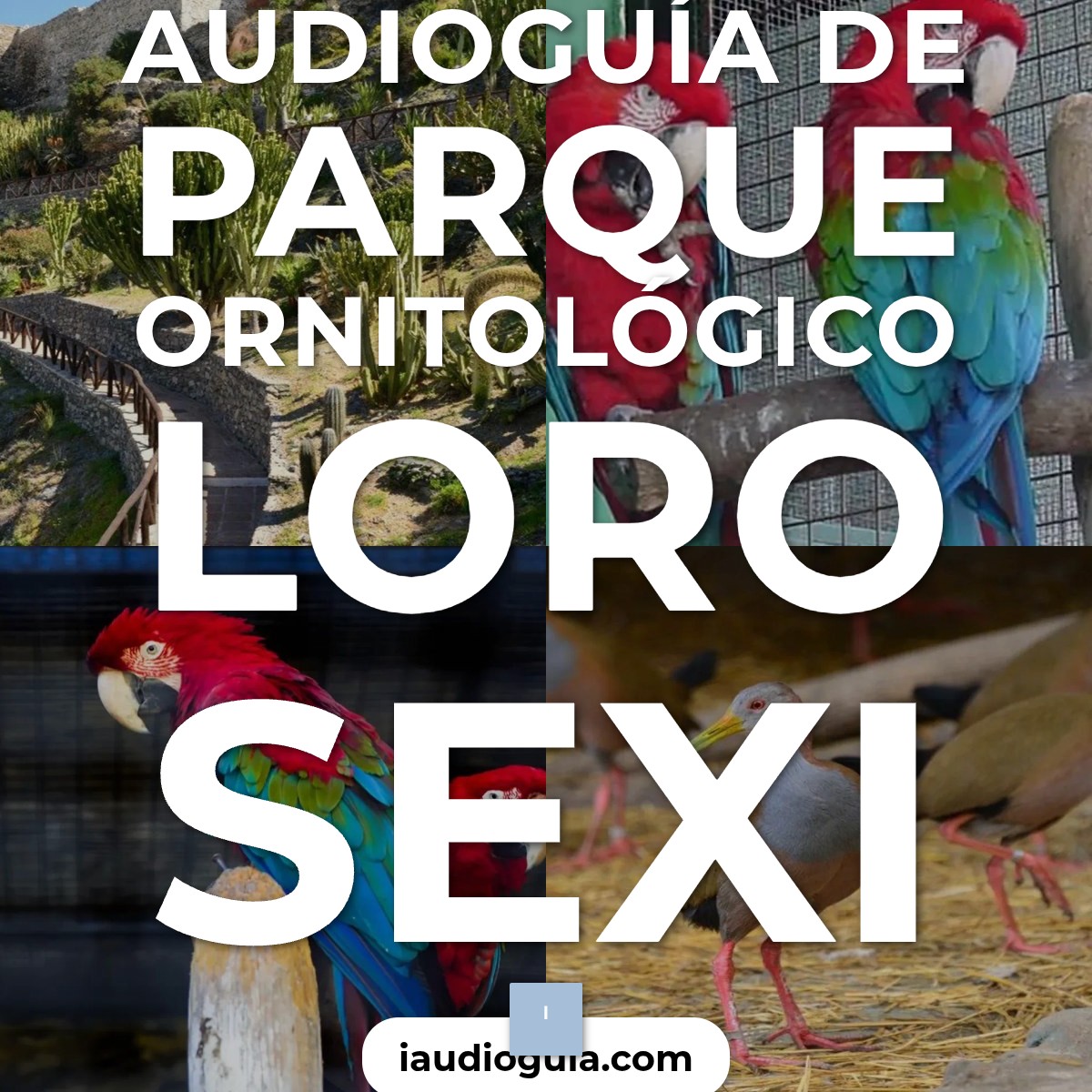 Audioguía de Parque Ornitologico Loro Sexi