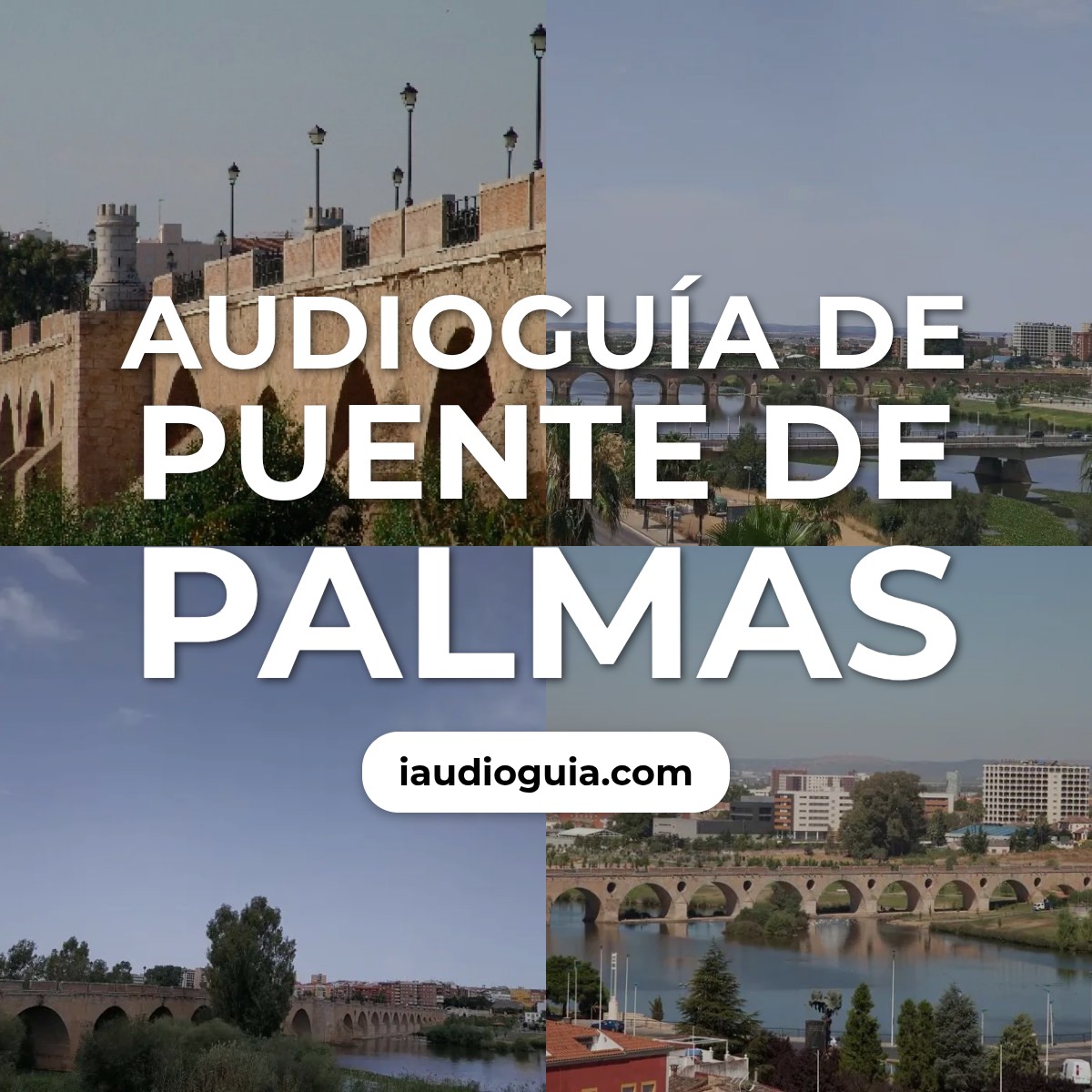 Audioguía de Puente Palmas