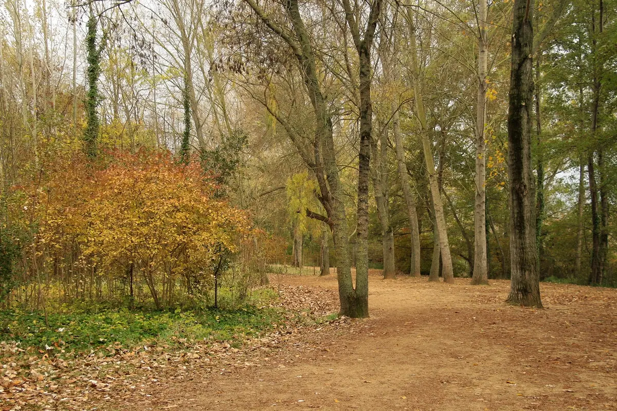 Audioguía de Estany De Banyoles