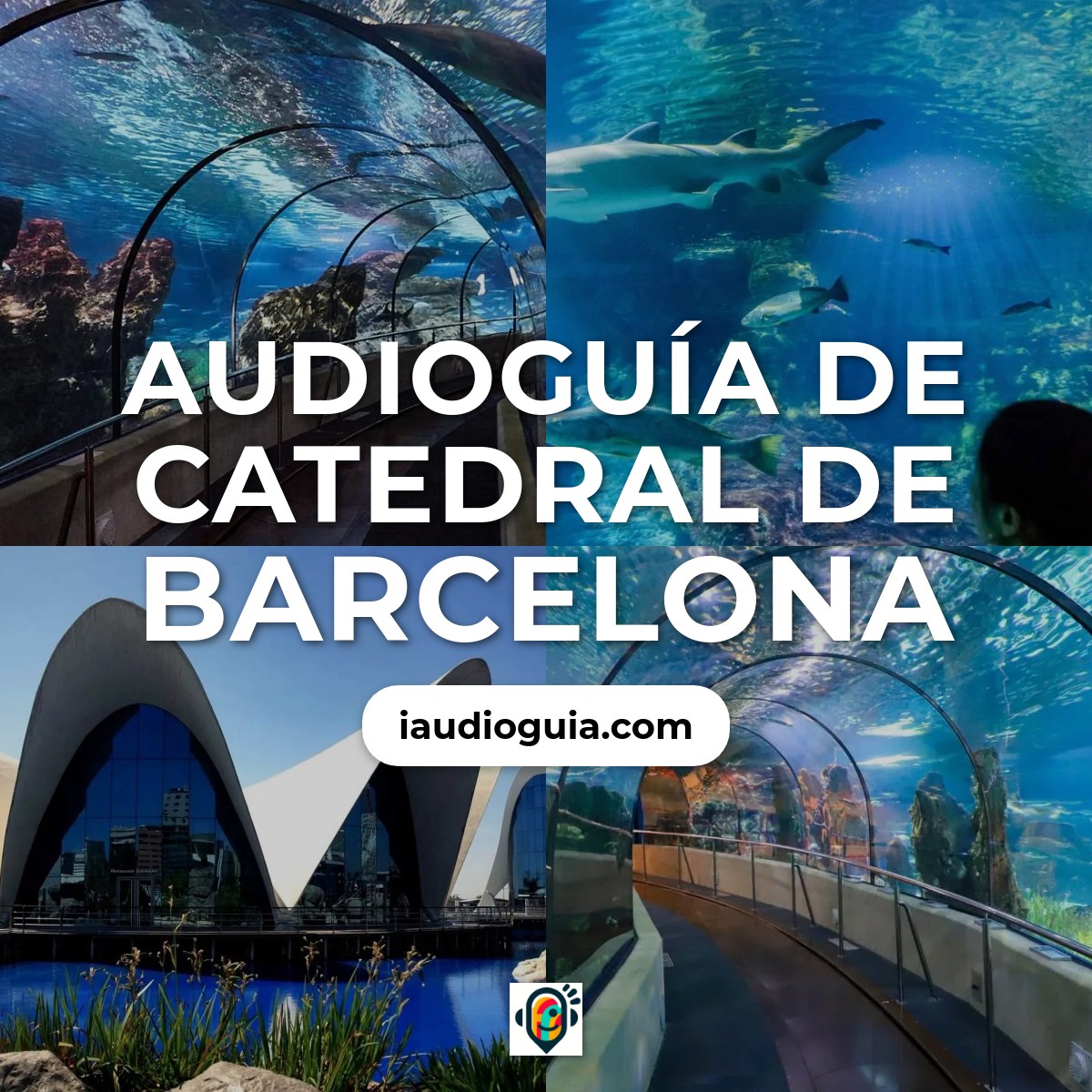 Catedral de Barcelona