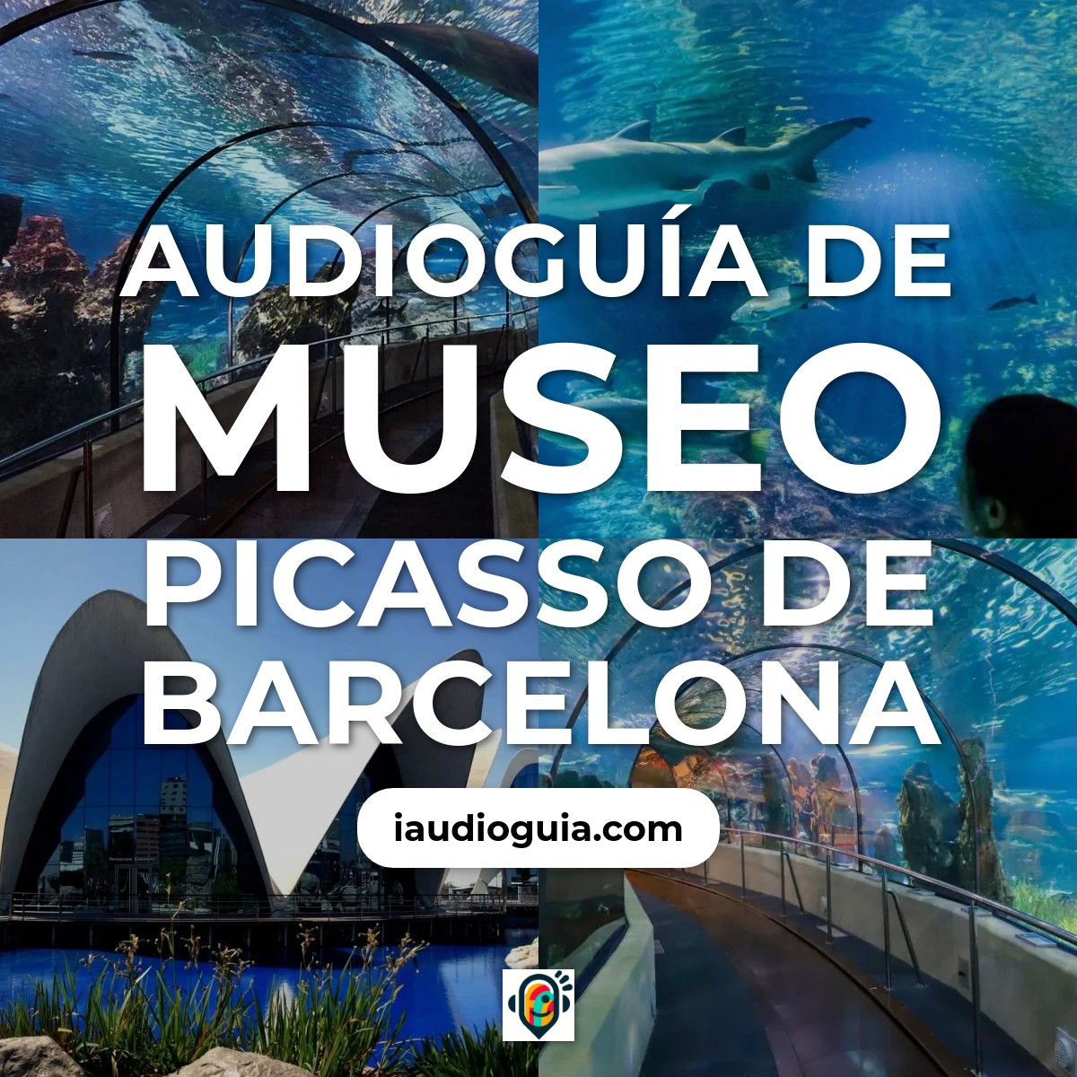 Audioguía de Museo Picasso