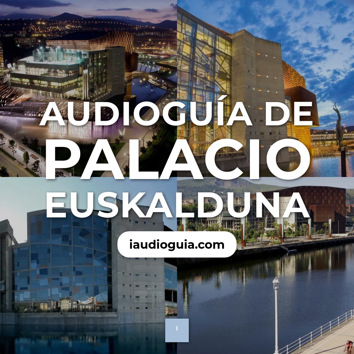 Audioguía de Palacio Euskalduna