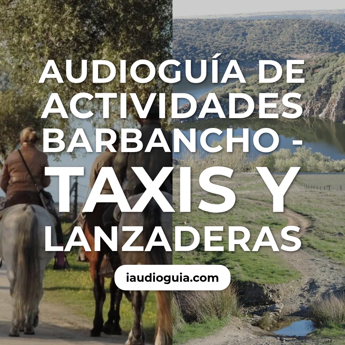 Audioguía de Actividades Barbancho Taxis Lanzaderas